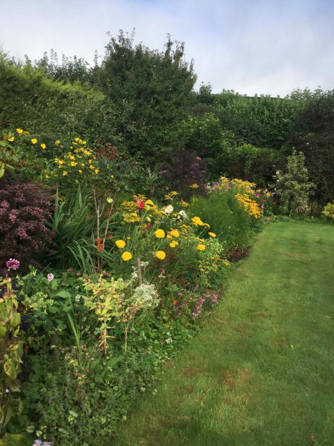 Corndonford Farm Newton Abbot Exterior foto